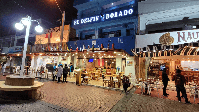 EL DELFIN DORADO