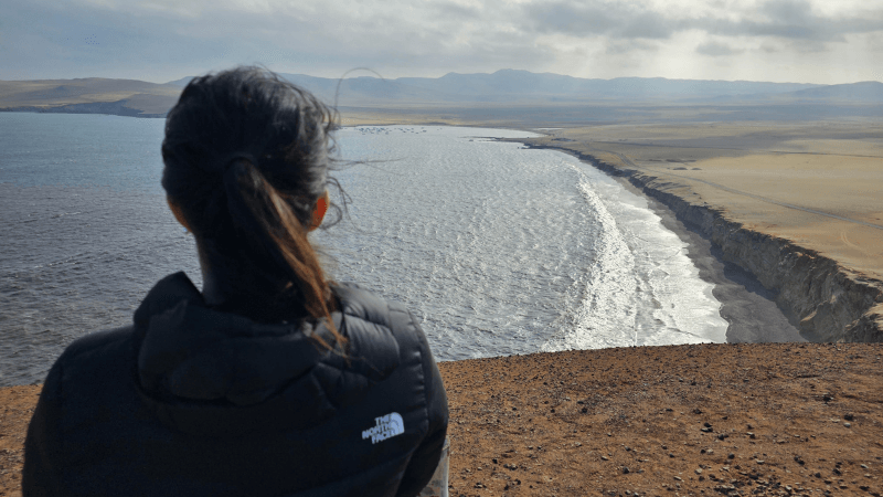 RESERVA PARACAS