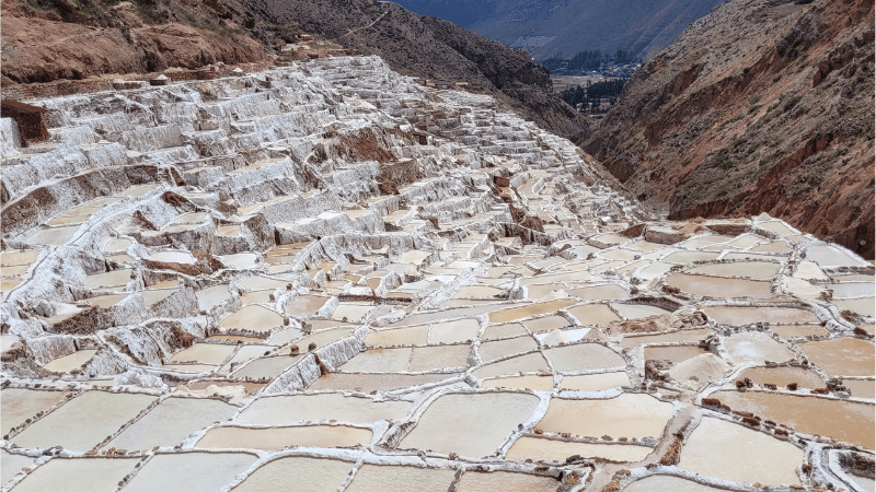 MARAS