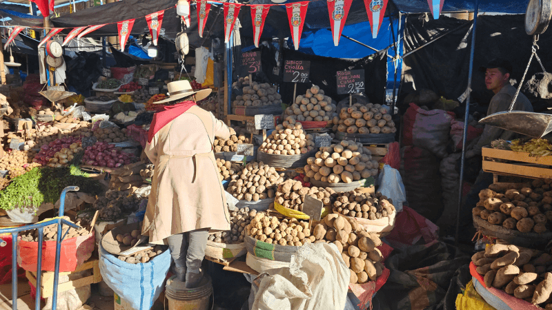 MERCADO SAN CAMILO