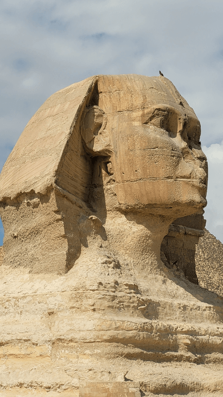 Diseño sin título – 2025-01-19T121518.591 (1) ruta por egipto