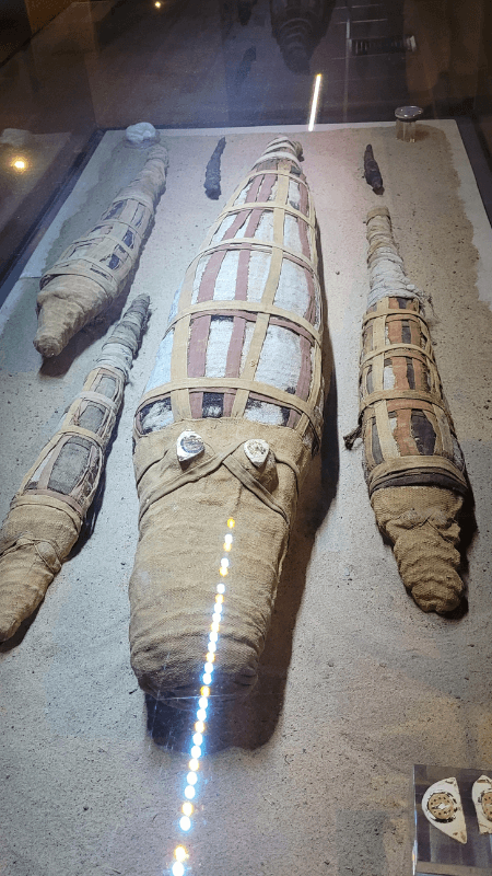 Diseño sin título – 2025-01-25T113050.538 (1) ruta por egipto
